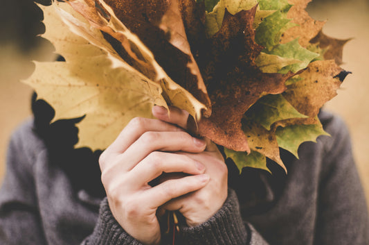 Woman hands holding automn leaves